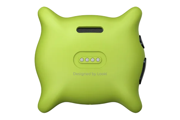 personal AI wearable